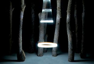 GHOSTS IN THE FOREST 02