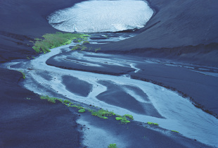 lsviii 011