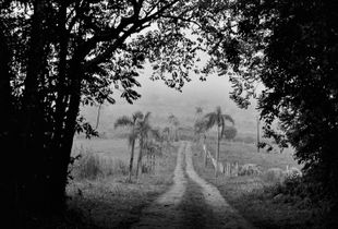 Misiones...