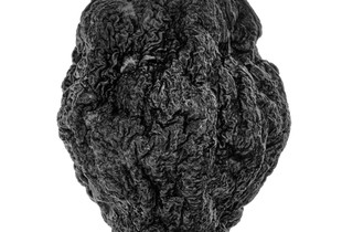 Dried Apple