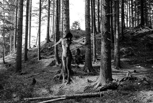 LA FORESTA
