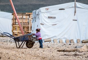A little girl and a wheelbarrow