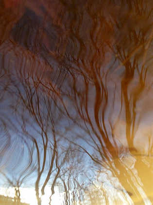 Reflecting Sky 2