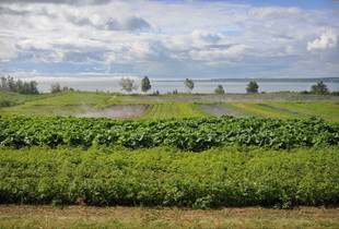 Quebec-Charlevoix-Les Éboulements-La Ferme en Haut-La Ferme Leblond le Matin