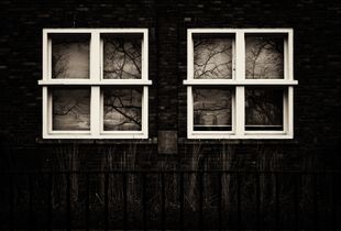 Fragments of Nature - I