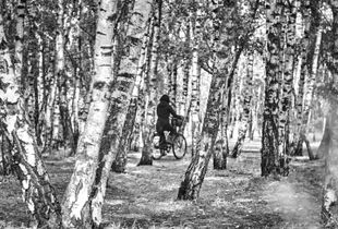 MaurerPark