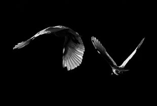 Synchronicity