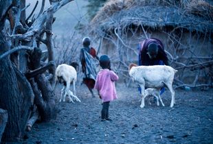 Little Masai girl !