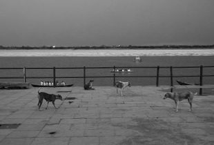 Street Life, Varanasi