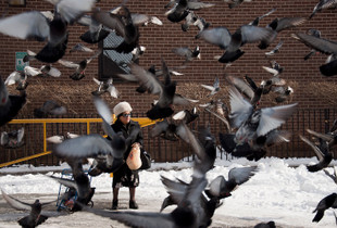She was the mother of birds