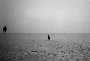 Like An Untied Dog | Portugal Series