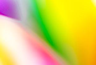 floral abstraction 1