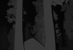 Untitled (Shed)