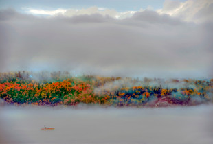 Into the Mist