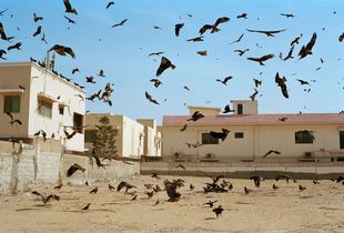 There, There #3, Karachi, 2016