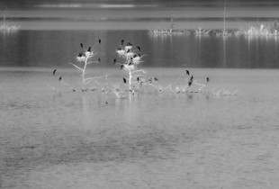 Rhodes Dam, Following the Light, 01