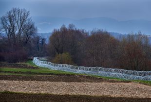 Freshly built anti-refugee barbed wire on the Slovenia-Croatia border town of Dobova is a menacing sight for refugees.