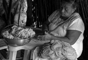 Tortilla y Maíz