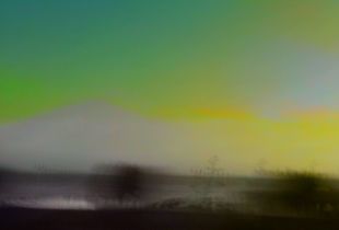 Yellowscape