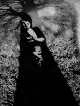 L'arbre de vie / The tree of life