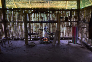 The kitchen