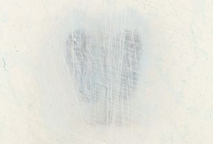 Camouflage_001, 2010