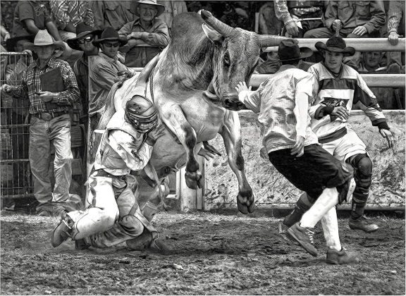 Caught By The Rope