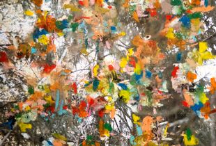 Untitled #1