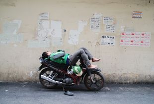 SIESTA