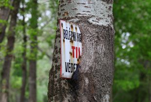 Trespassing