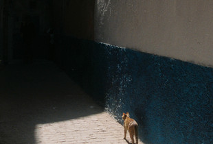 A shadow