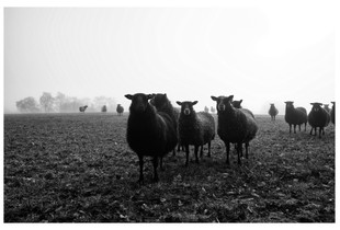 Countryside