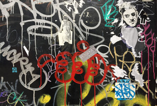 Pared 8