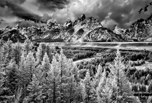 Grand Teton & Snake River