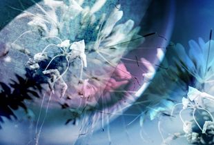 Inter-Floractic Universe #1