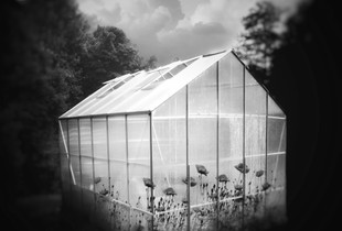 Glass Houses