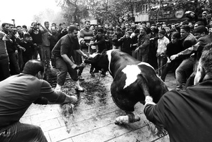 Mourning of Muharram