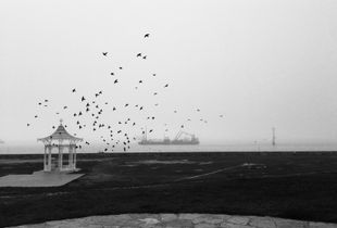 Winter Mist