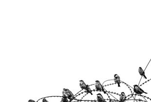 KASHMIR RELATIVE FREEDOM