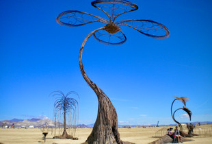 Desert Wire