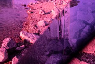 PURPLE BAY