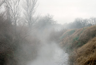 Untitled_01