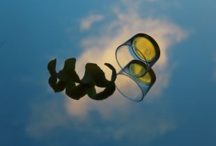 Gravity 1.0