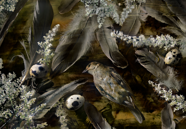Birds Of A Feather