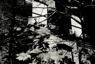Chasing Shadows - house
