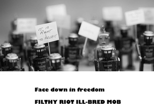BotMerica19