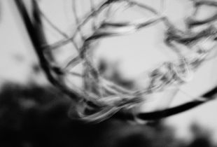 Dreamcatcher