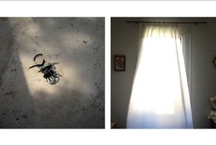 Unstable Immobility 01