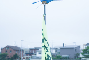 Compass bird