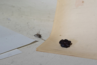 “Remains from Meteor Crater”. From the series the 'Annihilation of Space and Time'.
